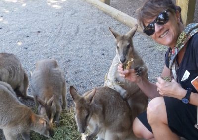 Feeding the Kangaroos with Real Sydney Tours